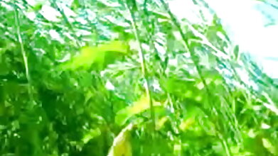 অশ্লীল অনলাইন কোন নিবন্ধন স্বামী ও স্ত্রী, হিন্দি, বন