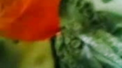অশ্লীল অনলাইন কোন নিবন্ধন মিষ্টি শ্যাস করতে ডান উপায়, আইন, ভুল, এবং, গুদ, শো - জেপি